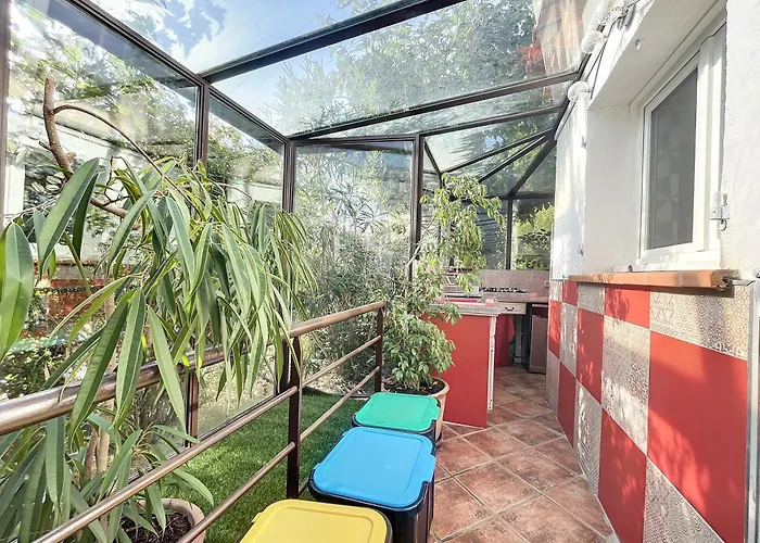 Oasis De Verdure